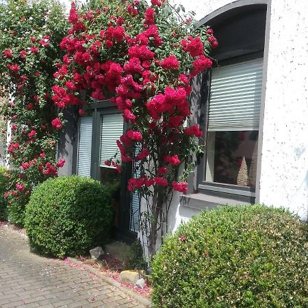 Altstadt-Apartment Petershagen Eksteriør bilde