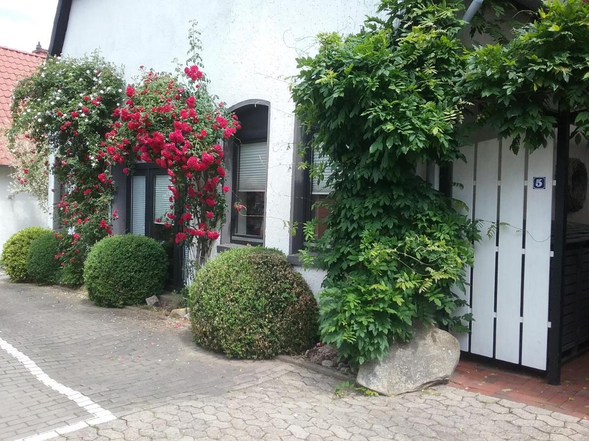 Altstadt-Apartment Petershagen Eksteriør bilde
