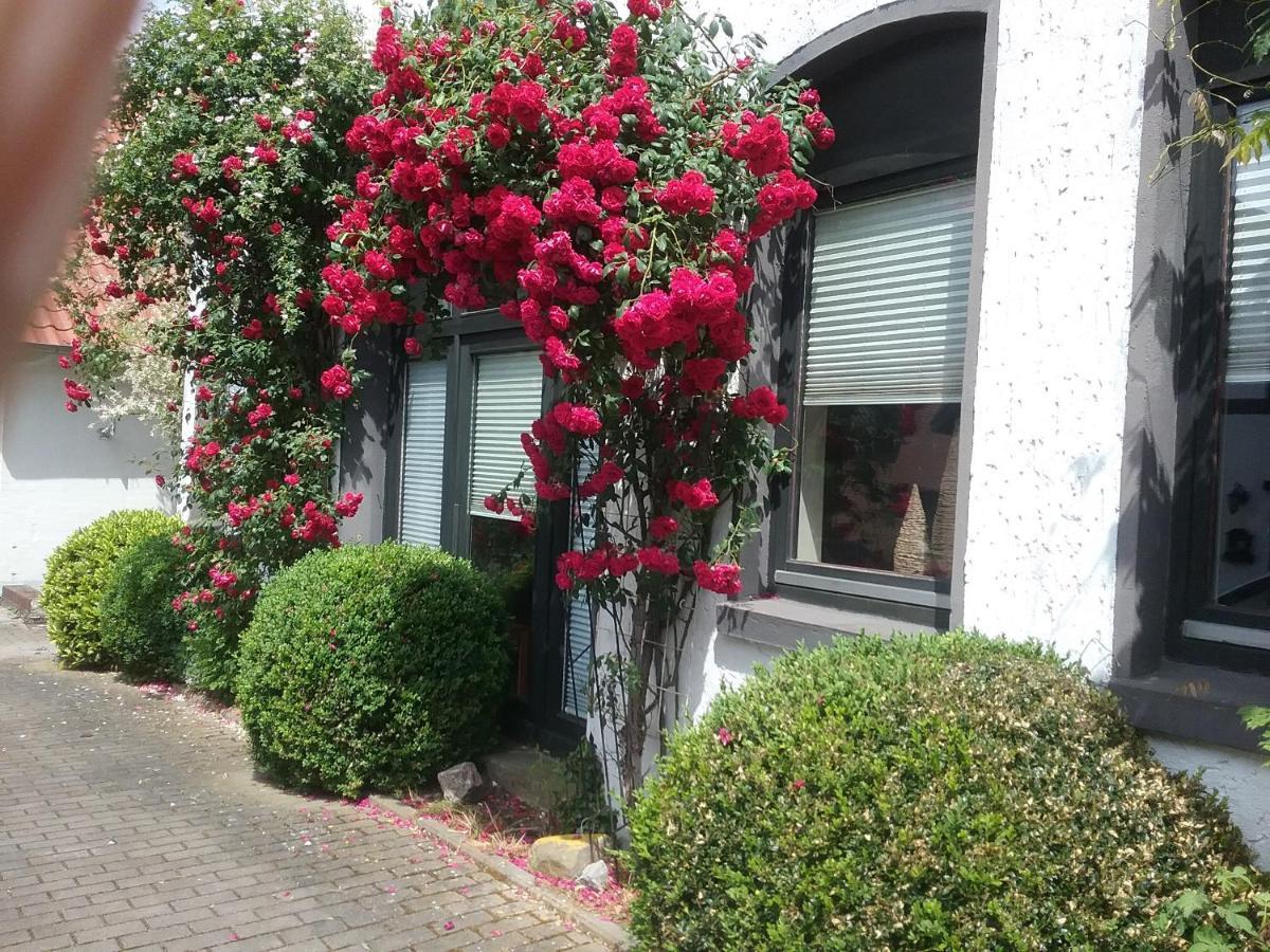 Altstadt-Apartment Petershagen Eksteriør bilde